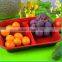 China supply packaging mushroom plastic tray