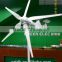 wind turbine and solar panel hybrid system 800w wind generator