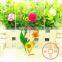 custom flower phone case cover for iphone 4, 4s, 5, 5s, 6