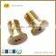 Brass Hex Screw Nut