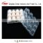 Clear Disbosable Clamshell Blister plastic egg tray 6/8/10/12/15/30 holes