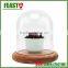 High Borocilicate Clear Glass Dome With Base