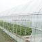 high quality transparent greenhouse film , agricultural film, farm film