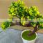 mixed artificial mini cactus/succulent bonsai for home decorations / garden decorations