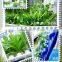 Upgradeda small 3 layer 9 pipes home garden Indoor hydroponics system