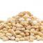 Standard Grade Organic Malt Barley with Low Moisture