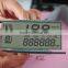 custom segment electric bike lcd display