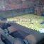 egg tray machine