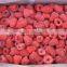 FD Dried Fruits-Frozen Dried raspberry whole with best price