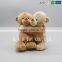 New Design Couple Bear Soft Toy for Baby