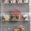 Clear customized acrylic jewelry display stand / shelf