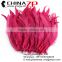 Leading Supplier CHINAZP Bulk Sale High Quality Mei red Dyed Rooster Schlappen Feathers