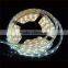 IP68 SMD5050/SMD3528 RGB Christmas Led Flexible Rope Light for Decoration