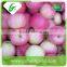 New crop delicious fresh royal gala apples