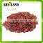 Dried fruit red raisin sultana supplier