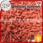 The conventional barbarie goji berry from Ningxia origin
