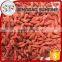 The conventional goji berry plants from Ningxia origin