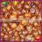 2015 Top Sale Organic Frozen Smiling Chinese Chestnuts Roasting