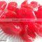 dried kumquat with red color