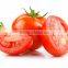 Supply Free Sample Tomato Extract Bulk