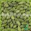 Chinese White Pumpkin Seeds Kernel Wholesale Price