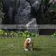 Lifelike Outdoor Large Decorative Garden Ornaments Dogs