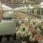modern low price Poultry Farm chicken Buildings shed for sale