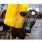 Cow Body automatic electric Brush,Combs