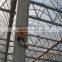 Farm Horticultural Green House with AL Frame and Fiberglass