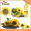 Hot sale sunflower oil press machine sunflower oil processing machine sunflower seeds oil extract machine