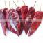 chilli without stem