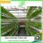 Hydroponic Pvc plastic channel for NTF greenhouse hydroponic system