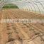 Polythene Film Solar Greenhouse For Vegetables