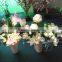 Hot High quality beautiful festive factory direct artificial flowers