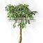 Supply artificial wood bonsai tree