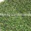 artificial grass,garden lawn