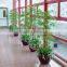 Landscape artificial bamboo for hotel decoration