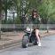 2017 baogl 40-60km per charge 60v 800w-2000w motor citycoco electric scooter