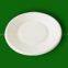 7 inch paper plate