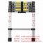 2.0m Aluminum Telescopic Ladder