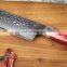 Damascus Steel Wood Ergonomics Handle knife