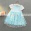 wholesale European and American fashion kids girls dresses tutu princess dress