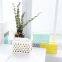 Luxury Custom Empty Geometric Hollow Fashion Fancy Design Desktop Tissue Box