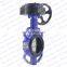 gost/din standard gg25 Wafer center line butterfly valve D71X-16Q