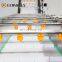 Hot sale fruit vegetable washing machine cherry washing machine