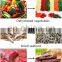 Fruit and Vegetable Chips Processing Line / fruit and vegetable drying machine