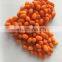 Sinocharm BRC A Approved 6mm Frozen Fruit IQF Sea Buckthorn Whole