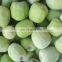 Sinocharm Frozen Fruits BRC 2021 New Crop IQF Frozen Kiwi Slices