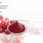 Factory direct cranberry extract cranberry powder extract