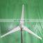 800W Wind Generator China Factory Price 24V/48V Windmill Generator for home